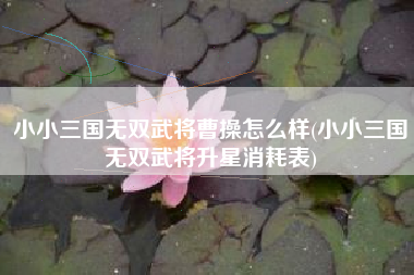 小小三国无双武将曹操怎么样(小小三国无双武将升星消耗表)