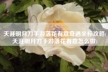 天涯明月刀手游落花有意奇遇坐标攻略(天涯明月刀手游落花有意怎么做)