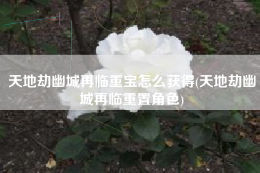 天地劫幽城再临重宝怎么获得(天地劫幽城再临重置角色)