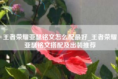 王者荣耀亚瑟铭文怎么配最好_王者荣耀亚瑟铭文搭配及出装推荐