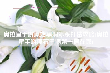 奥拉星手游原始黑洞冰系打法攻略(奥拉星手游原石黑洞第一层在哪)