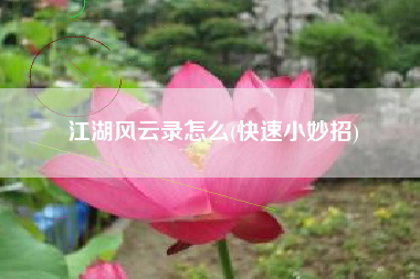 江湖风云录怎么(快速小妙招)