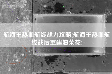 航海王热血航线战力攻略(航海王热血航线战后重建油菜花)