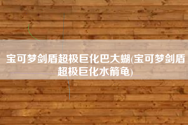 宝可梦剑盾超极巨化巴大蝴(宝可梦剑盾超极巨化水箭龟)