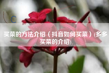 买菜的方法介绍（抖音如何买菜）(多多买菜的介绍)