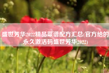 盛世芳华2022精品菜谱配方汇总(官方给的永久激活码盛世芳华2022)