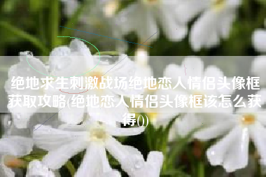 绝地求生刺激战场绝地恋人情侣头像框获取攻略(绝地恋人情侣头像框该怎么获得())