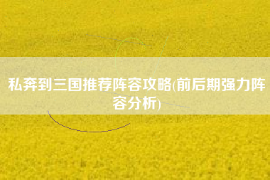 私奔到三国推荐阵容攻略(前后期强力阵容分析)