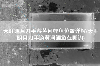 天涯明月刀手游黄河鲤鱼位置详解(天涯明月刀手游黄河鲤鱼在哪钓)