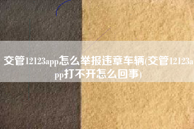 交管12123app怎么举报违章车辆(交管12123app打不开怎么回事)