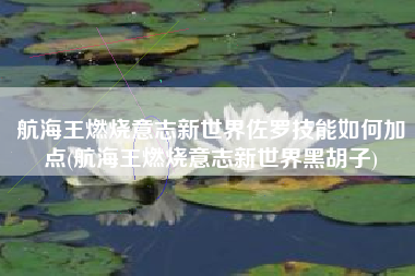 航海王燃烧意志新世界佐罗技能如何加点(航海王燃烧意志新世界黑胡子)