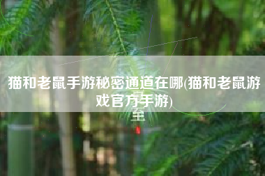 猫和老鼠手游秘密通道在哪(猫和老鼠游戏官方手游)