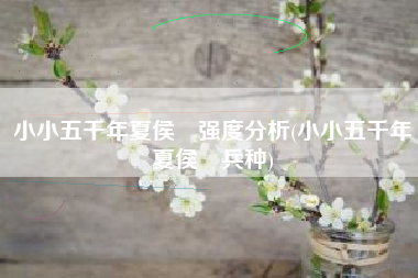 小小五千年夏侯惇强度分析(小小五千年夏侯惇兵种)