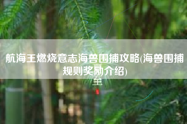 航海王燃烧意志海兽围捕攻略(海兽围捕规则奖励介绍)
