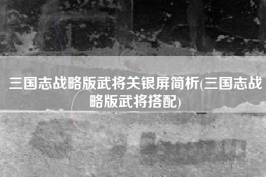 三国志战略版武将关银屏简析(三国志战略版武将搭配)