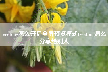 seetong怎么开启全屏预览模式(seetong怎么分享给别人)