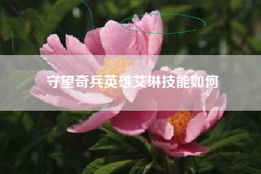 守望奇兵英雄艾琳技能如何