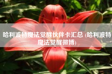 哈利波特魔法觉醒伙伴卡汇总 (哈利波特魔法觉醒微博)
