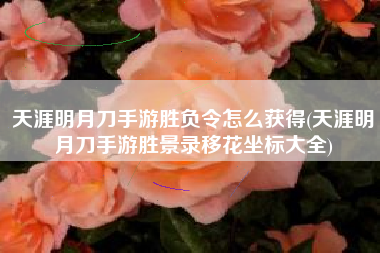 天涯明月刀手游胜负令怎么获得(天涯明月刀手游胜景录移花坐标大全)