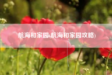 航海和家园(航海和家园攻略)