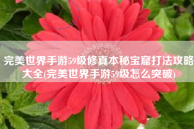完美世界手游59级修真本秘宝窟打法攻略大全(完美世界手游59级怎么突破)
