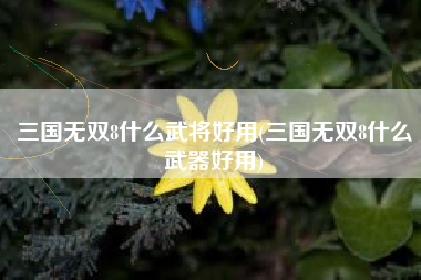 三国无双8什么武将好用(三国无双8什么武器好用)