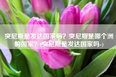 突尼斯是发达国家吗？突尼斯是哪个洲的国家？(突尼斯是发达国家吗-)