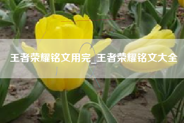 王者荣耀铭文用完_王者荣耀铭文大全
