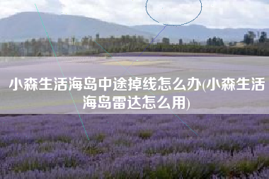 小森生活海岛中途掉线怎么办(小森生活海岛雷达怎么用)