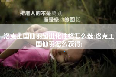 洛克王国仙羽超进化性格怎么选(洛克王国仙羽怎么获得)