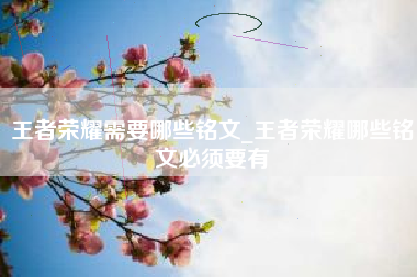 王者荣耀需要哪些铭文_王者荣耀哪些铭文必须要有