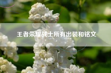 王者荣耀战士所有出装和铭文