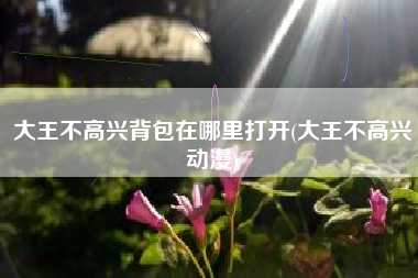 大王不高兴背包在哪里打开(大王不高兴动漫)