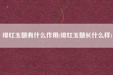 绯红玉髓有什么作用(绯红玉髓长什么样)