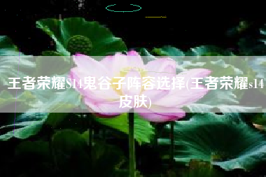 王者荣耀S14鬼谷子阵容选择(王者荣耀s14皮肤)