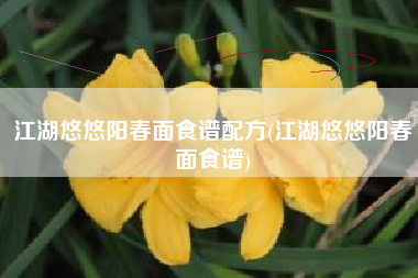 江湖悠悠阳春面食谱配方(江湖悠悠阳春面食谱)