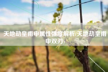 天地劫皇甫申属性强度解析(天地劫皇甫申双刃)