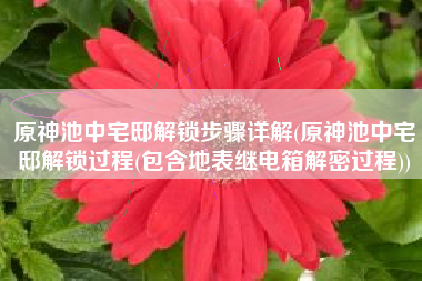 原神池中宅邸解锁步骤详解(原神池中宅邸解锁过程(包含地表继电箱解密过程))