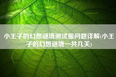 小王子的幻想谜境测试服问题详解(小王子的幻想谜境一共几关)