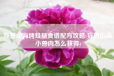 妄想山海烤蛙腿食谱配方攻略(妄想山海小兽肉怎么获得)