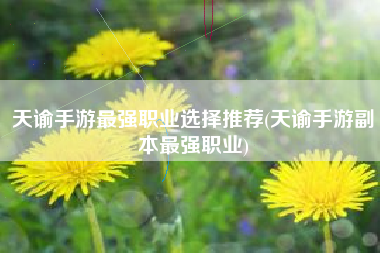 天谕手游最强职业选择推荐(天谕手游副本最强职业)