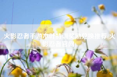 火影忍者手游木叶特训奖励兑换推荐(火影忍者官网) 火影忍者手游木叶特训奖励兑换推荐(火影忍者官网)