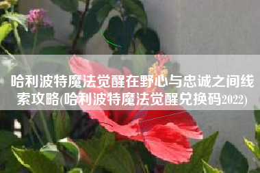 哈利波特魔法觉醒在野心与忠诚之间线索攻略(哈利波特魔法觉醒兑换码2022)
