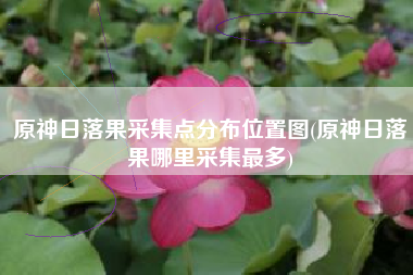 原神日落果采集点分布位置图(原神日落果哪里采集最多)