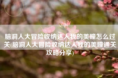 脑洞人大冒险收纳达人我的美瞳怎么过关(脑洞人大冒险收纳达人我的美瞳通关攻略分享)