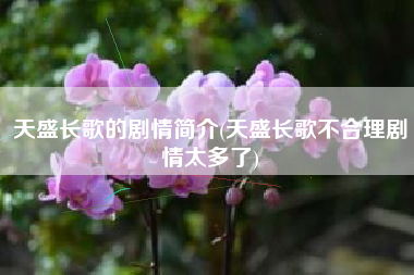 天盛长歌的剧情简介(天盛长歌不合理剧情太多了)