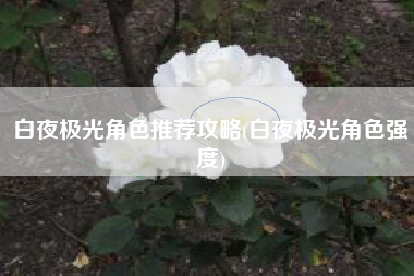 白夜极光角色推荐攻略(白夜极光角色强度)