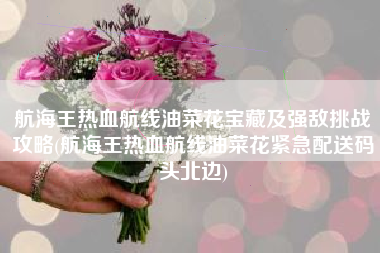 航海王热血航线油菜花宝藏及强敌挑战攻略(航海王热血航线油菜花紧急配送码头北边)
