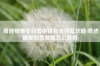 奇迹暖暖冬日雪中花完美搭配攻略(奇迹暖暖如雪微醺怎么获得)