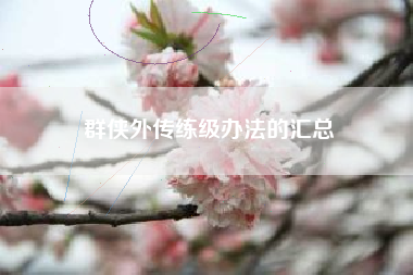 群侠外传练级办法的汇总